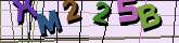 Chuck Norris has counted to infinity. Twice.